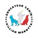 KM Éducateur Canin
